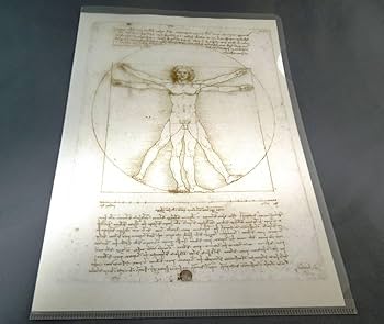 Amazon | 美術館グッズ A4版クリアファイル ウィトルウィウス的人体図