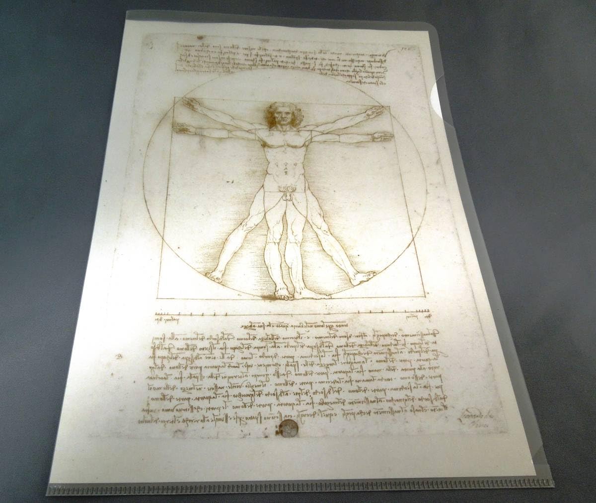 レオナルド・ダ・ヴィンチ「ウィトルウィウス的人体図」フィギュア ダ・ヴィンチ「ウィトルウィウス的人体図」が可動式フィギュアに