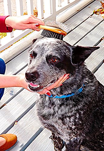 Double-Sided-Dog-Brush-for-Long-or-Short-Haired-Dogs-and-Cats-Natural-Bamboo-Eco-Friendly-Pet-Grooming-Dual-Sided-Pin-and-Bristles-for-Deshedding-Hair