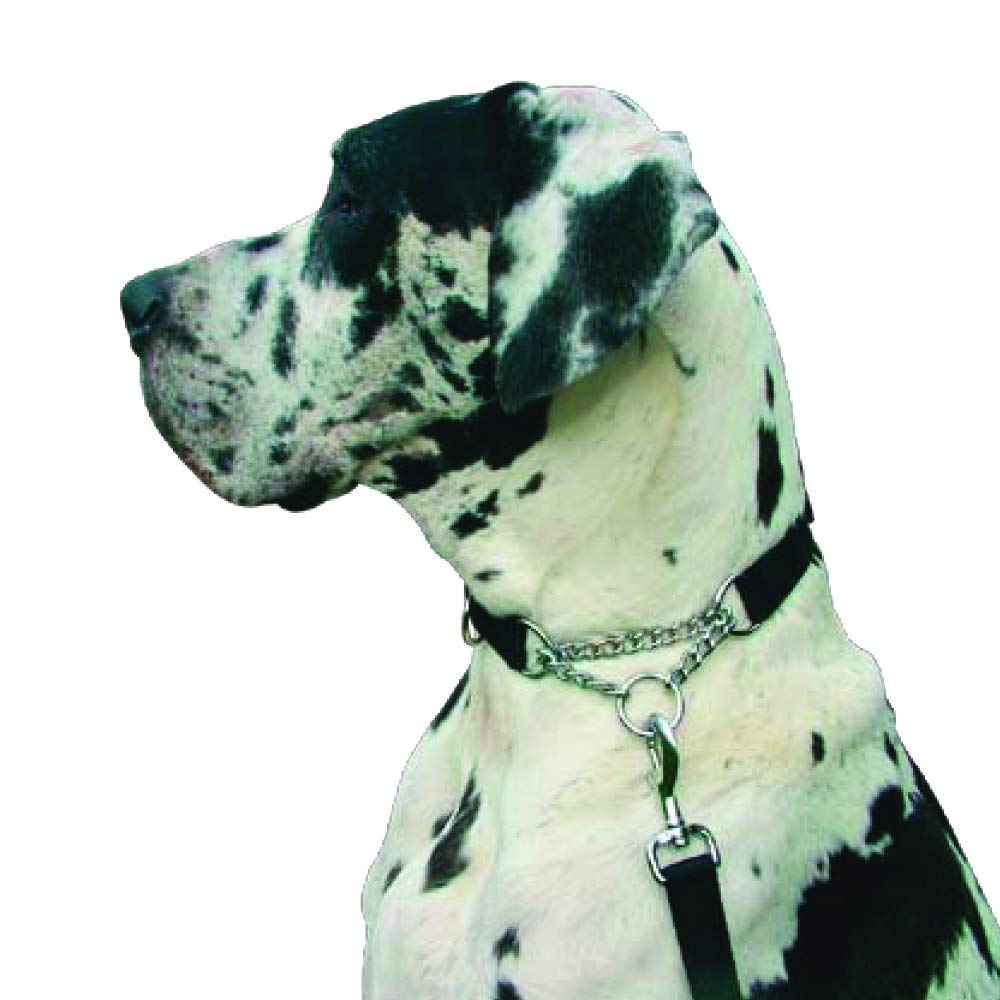 Kumfi CanineKumfi Kombi Collar XL