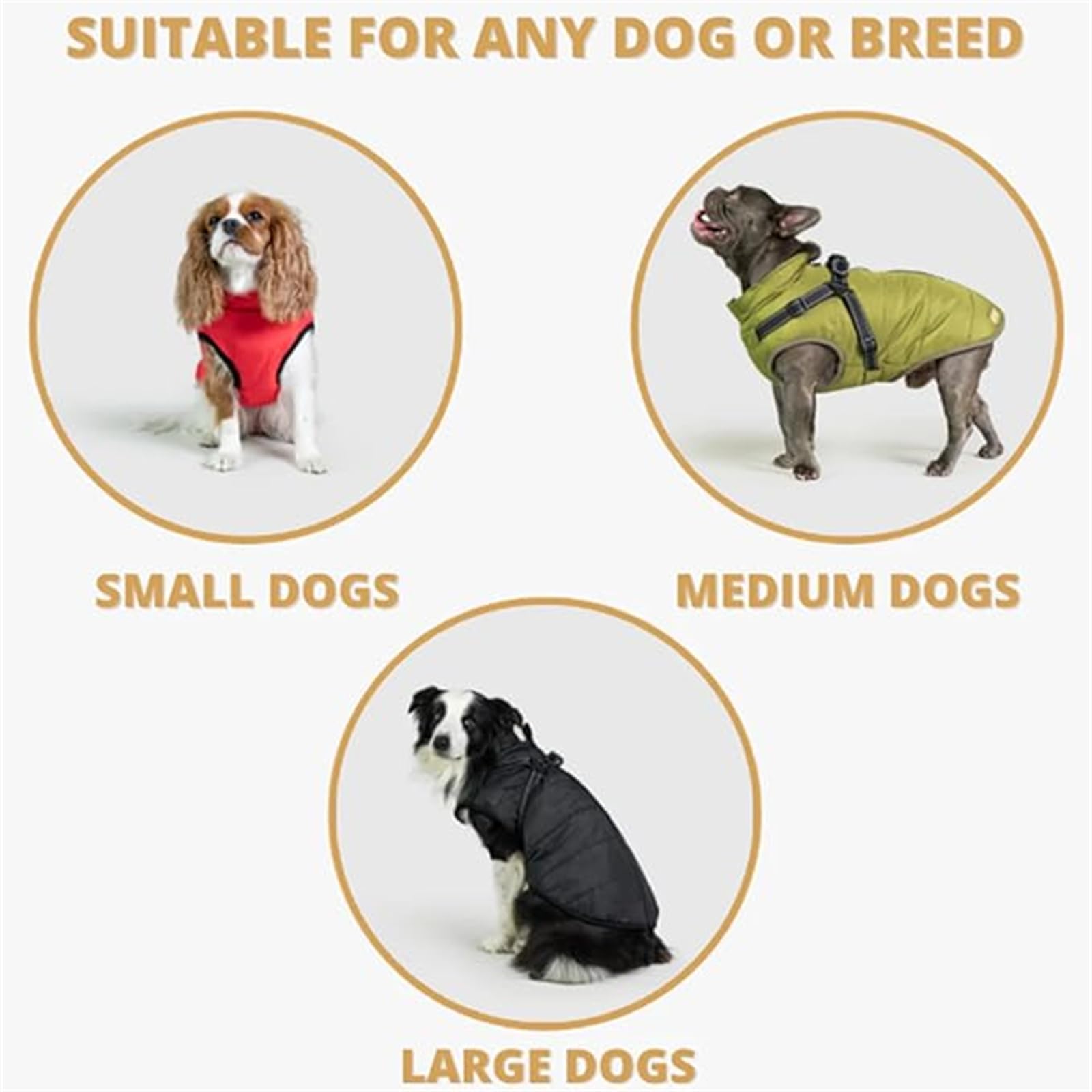 Doggie Design Classic Vintage Faux Brown Leather Bomber Jacket, X-Small