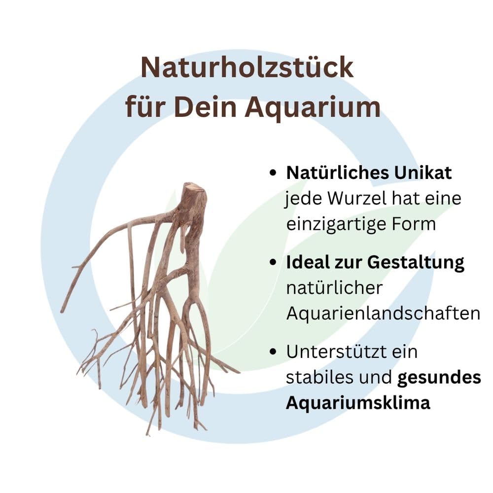 AquaOne XL Talawawurzel 1 Stück Aquarium Wurzel Holz Deko Aquascaping Dekoration Landschaft Mangrove Moorkien Moorwood Moos Natur Echtholz