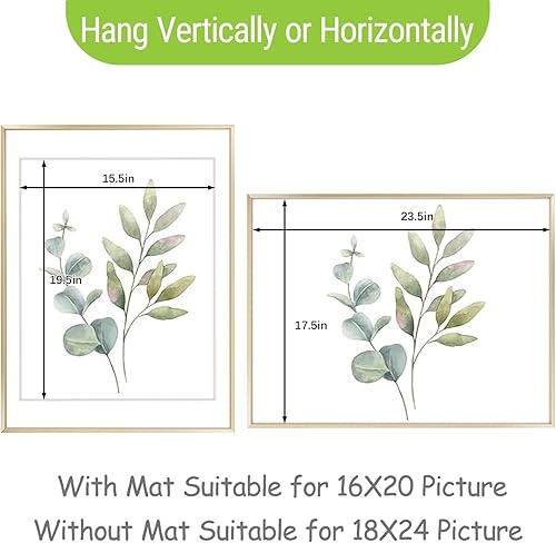 Vista 370 de Golden State Art - Marco de fotos de aluminio satinado clásico de 8 x 10 con alfombrilla de color marfil para fotos de 5 x 7 y cristal real, Dorado