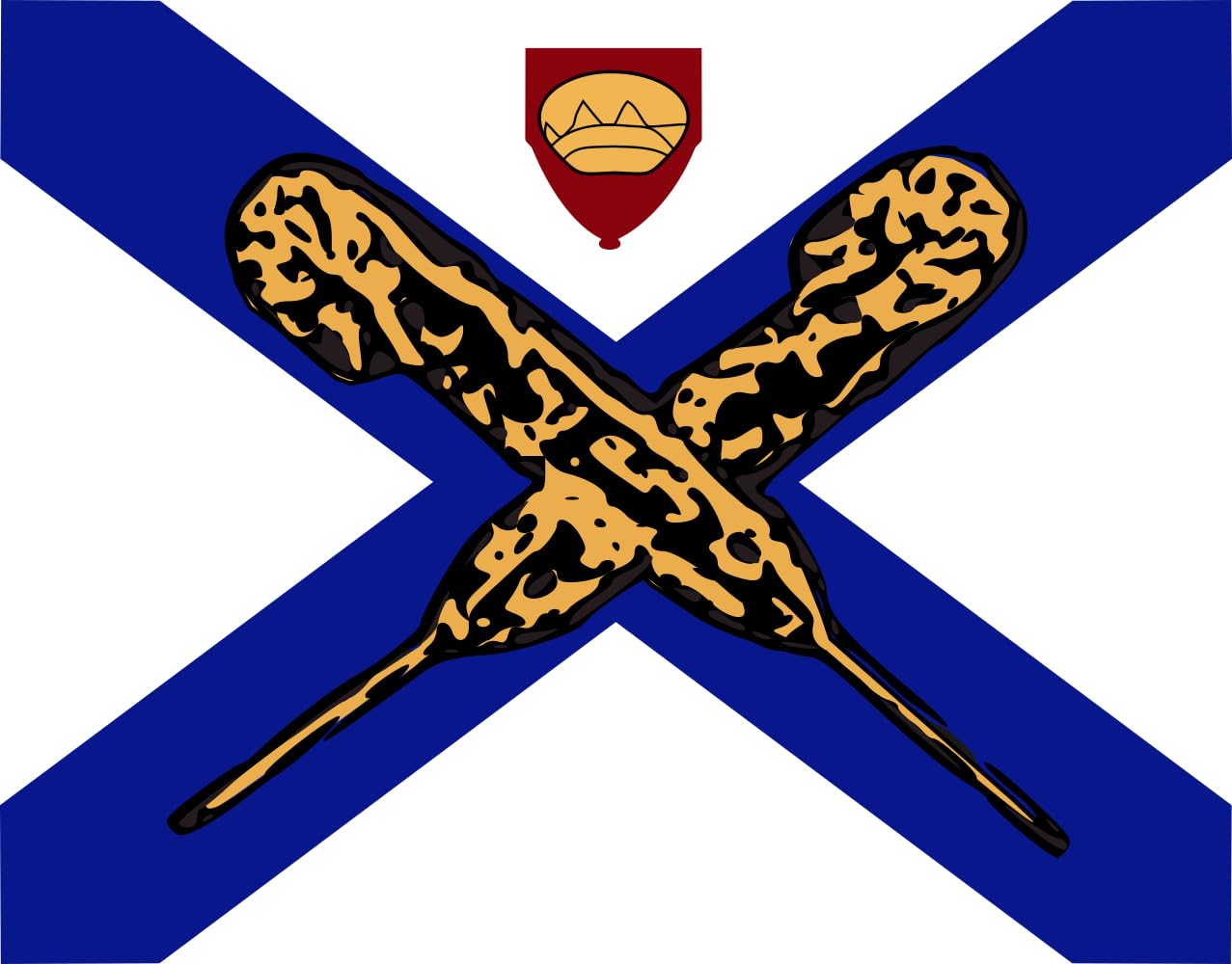 Drapeau de Fredericksburg Virginia grand format pour mât extérieur