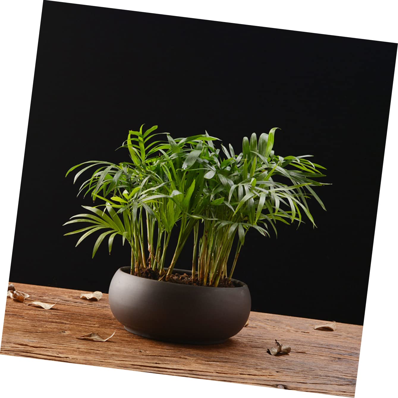 Pflanztopf Pflanze Pflanzen Kinderzimmer Balkon fr Pflanzen Groe Luft  Sukkulenten Pflanzgef Loch Runde Dekoration Bonsai Neuartige Gre  Vintage Tpfe Sand Mini Blumentopf Keramik Desktop: Amazon.de: Garten