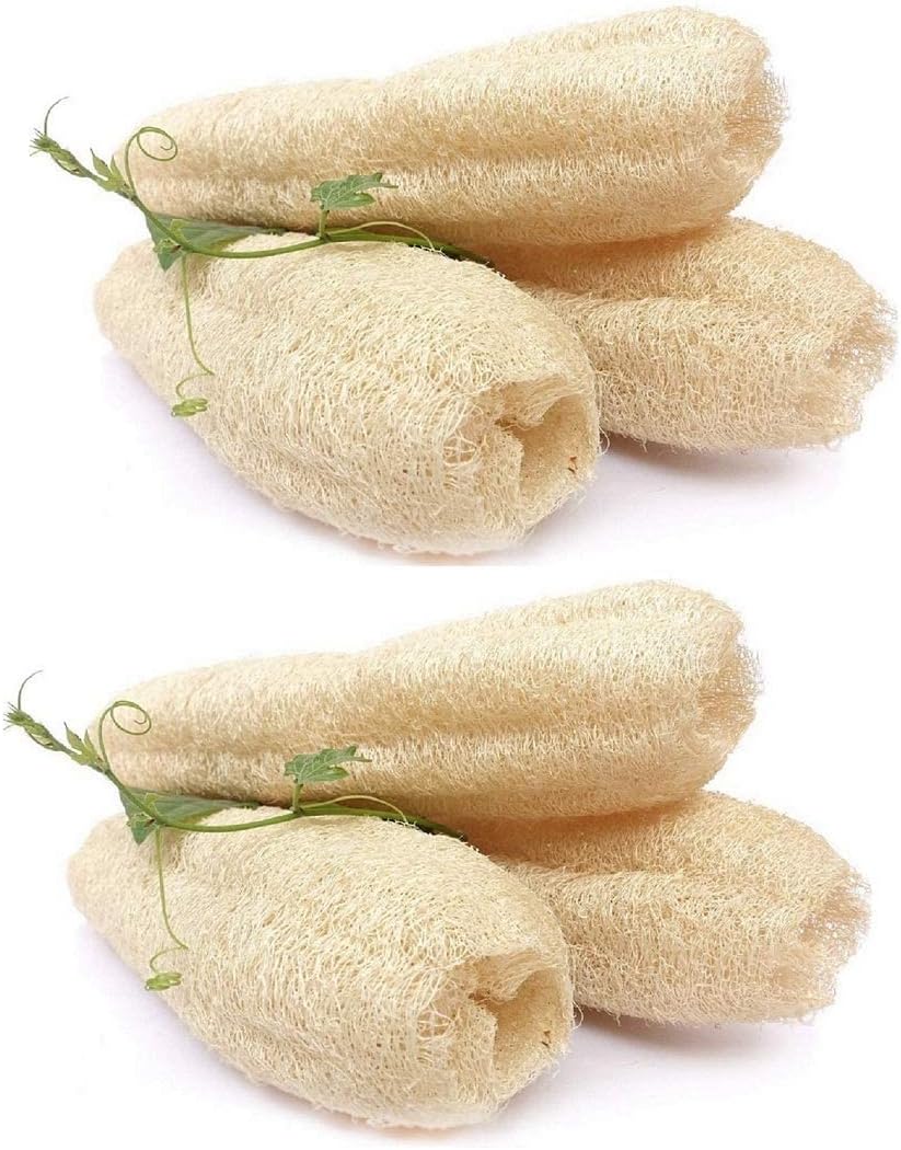 SharanyaD Pack of 6 100% Natural Whole Loofah| bath Sponge| Body Scrubber| Natural Loofah| Loofah Sponge| Kitchen Sponge