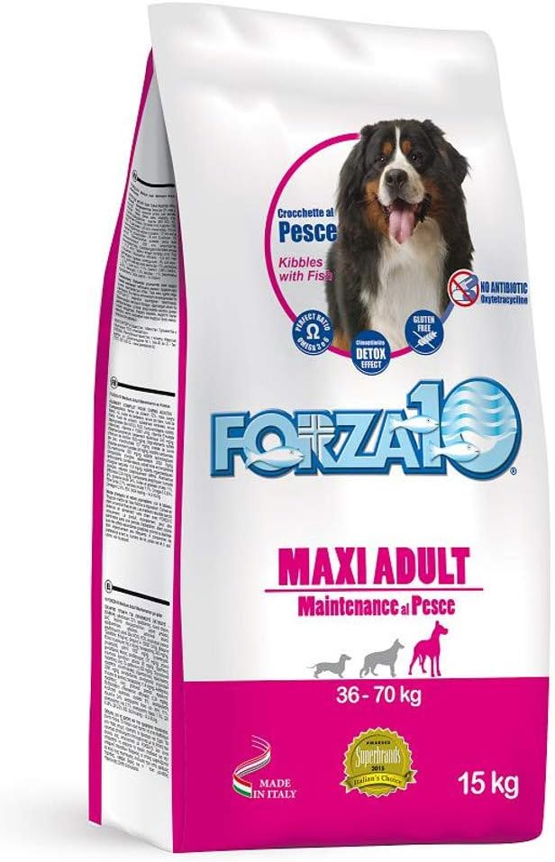 carbone attivo per terrari