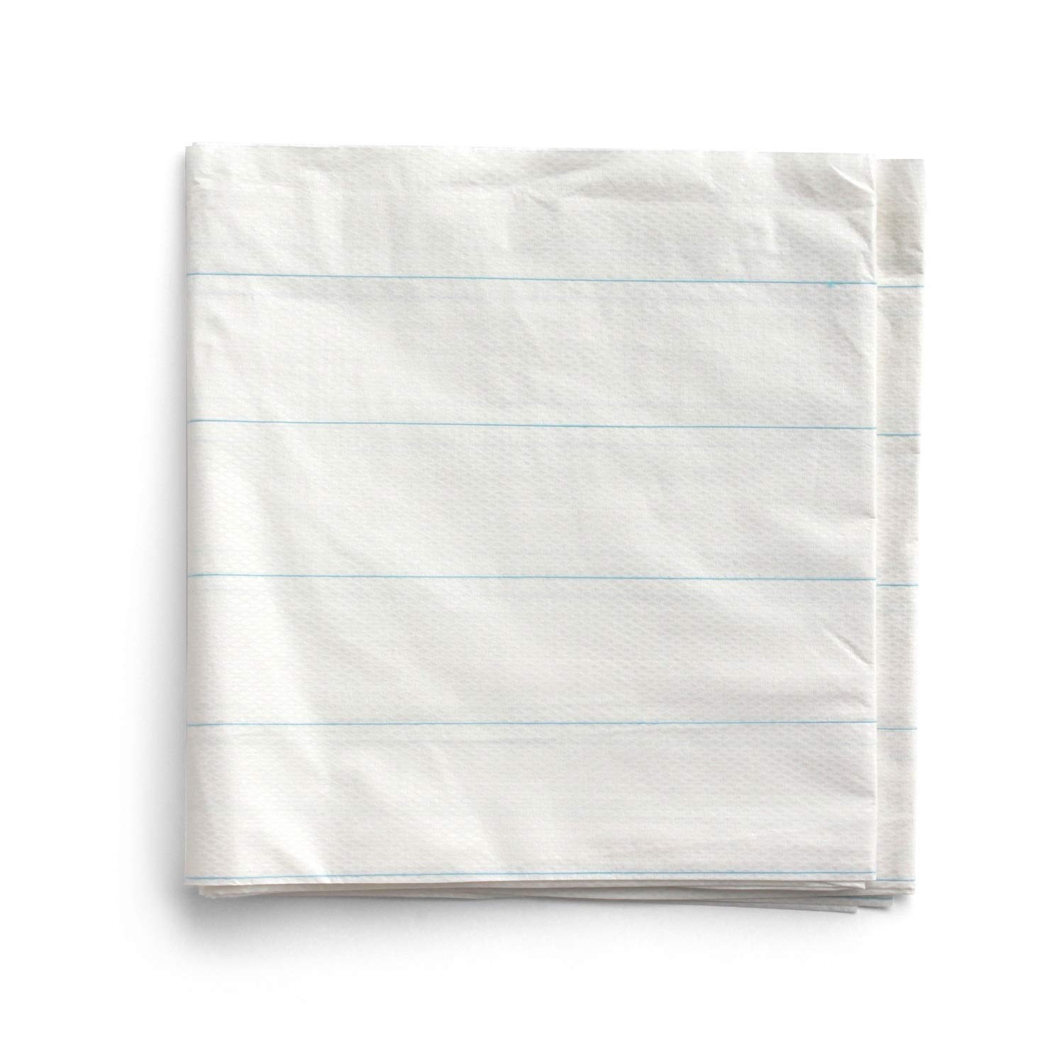 Papier-Einmallaken 100cm x 200cm Tragelaken Einweg-Laken (25 Stück)