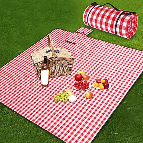 Top 10 Red White Picnic Blanket of 2022 Katynel