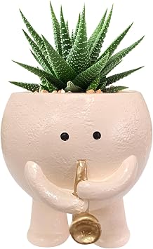 AOYEBO Cute Succulent Planters Indoor - Saxophone-Design Resin Pot Drainage Holes & Weatherproof, Garden/Home Decor Gift for Music Lovers
