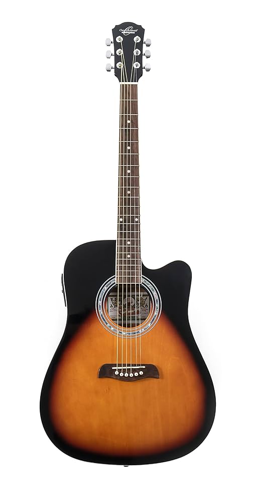 サンバースト アコースティックギター 6弦 アコースティックギター サンバースト 6弦