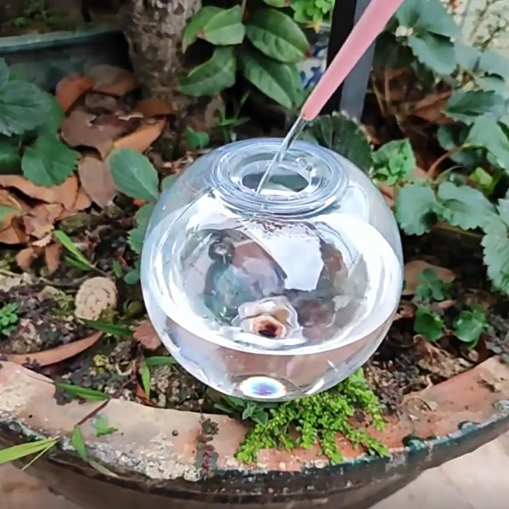 Globes d'arrosage Automatique de 500 ML pour Plantes d'intérieur et d'extérieur, système d'irrigation Goutte-à-Goutte, Globe d'arrosage Autonome, pour Plantes en Pot