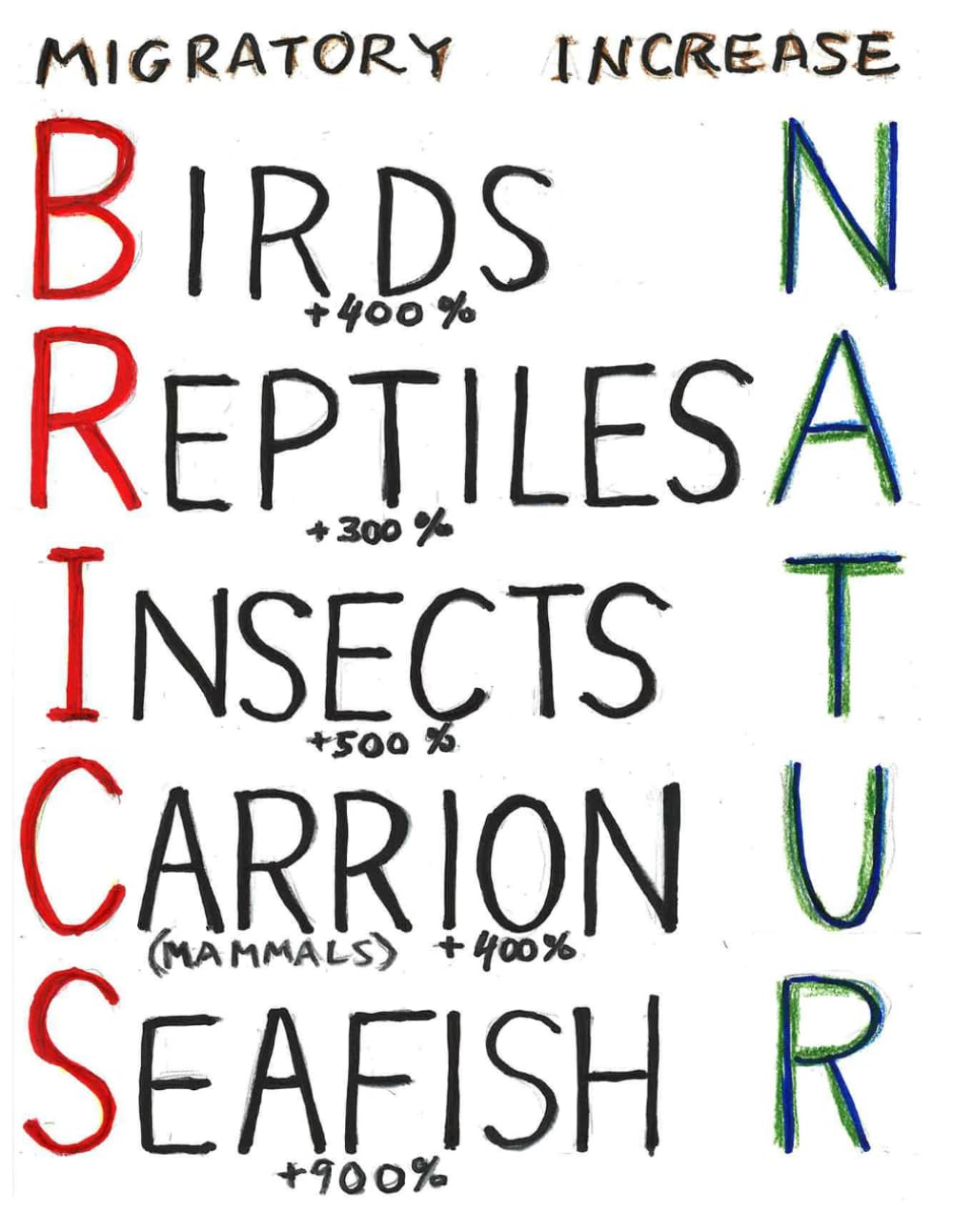 BRICS NATUR: BIRDS REPTILES INSECTS CARRION SEAFISH