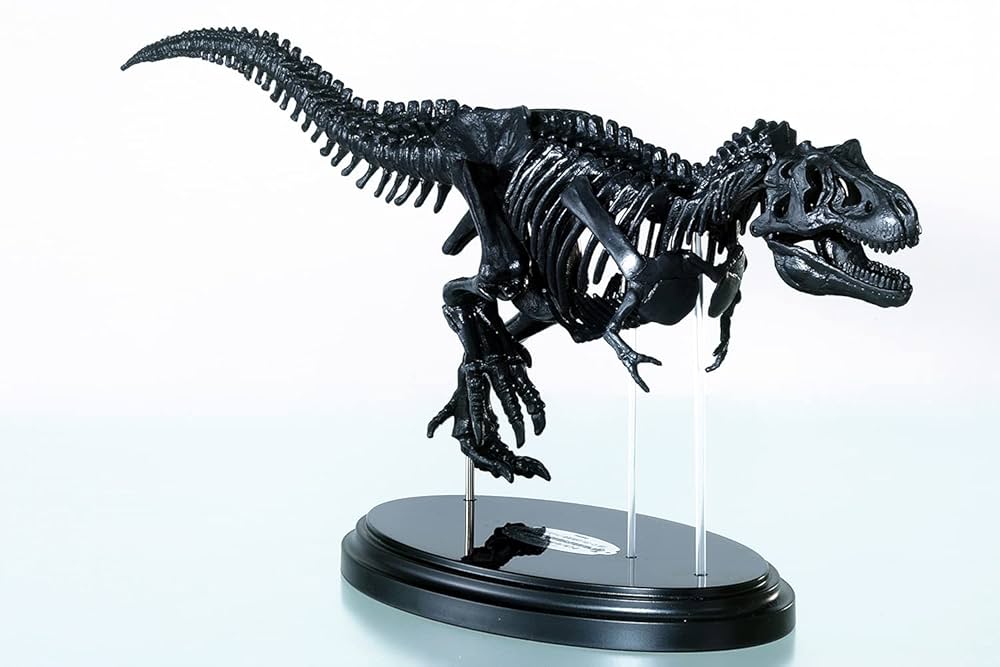 【プラモデル】ティラノサウルス骨格モデル 約35cm プラモデル】ティラノサウルス骨格モデル 約35cm - メルカリ