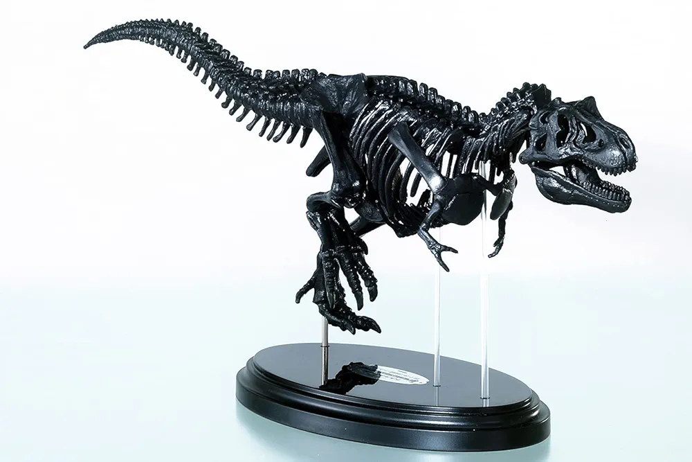 【プラモデル】ティラノサウルス骨格モデル 約35cm Amazon.co.jp: ティラノサウルス1/35骨格模型キット&本物の大き