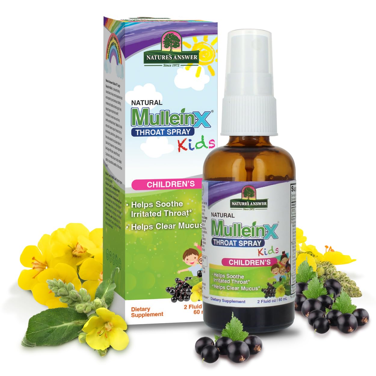 Amazon.com: Nature's Answer Mullein X Kids Throat Spray 2oz