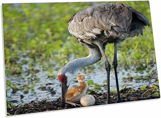 3dRose Just Hatched, Sandhill Crane Rotating Second Egg,... - Desk Pad Place Mats (dpd-250760-1)