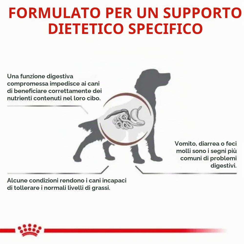 Royal Canin - Crocchette per cani Veterinary diet - Gastro Intestinal low fat, 6 kg