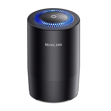 RIGOGLIOSO Air Purifiers for Bedroom, Compact HEPA Air Purifier Air Filter for Pollen Dust Smoke Pet Hair, Desktop Air Cleaner