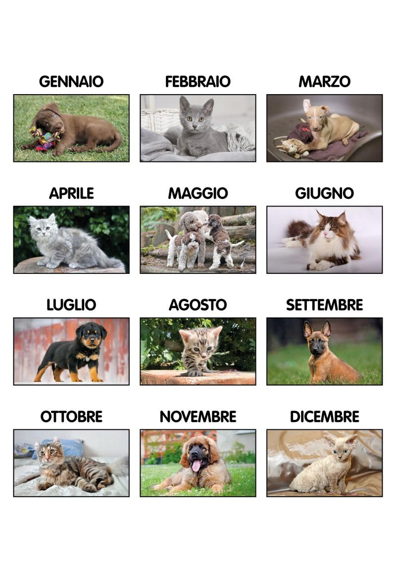 100 Calendari Da Parete 2027 - Calendario trimestrale Cani e Gatti - 28,8x47 - personalizzati con logo - Personalizzabile - Collezione 2027-100 pezzi
