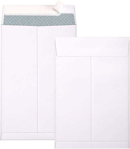 Outdoramic 6x9 Envelopes, 250 Pack Security Catalog