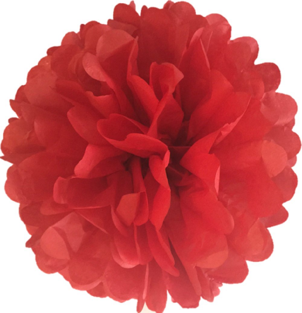 Tissue Paper Pompoms 8"(20CM) Pack of 10 Wedding Party Decorations pom pom (Red)