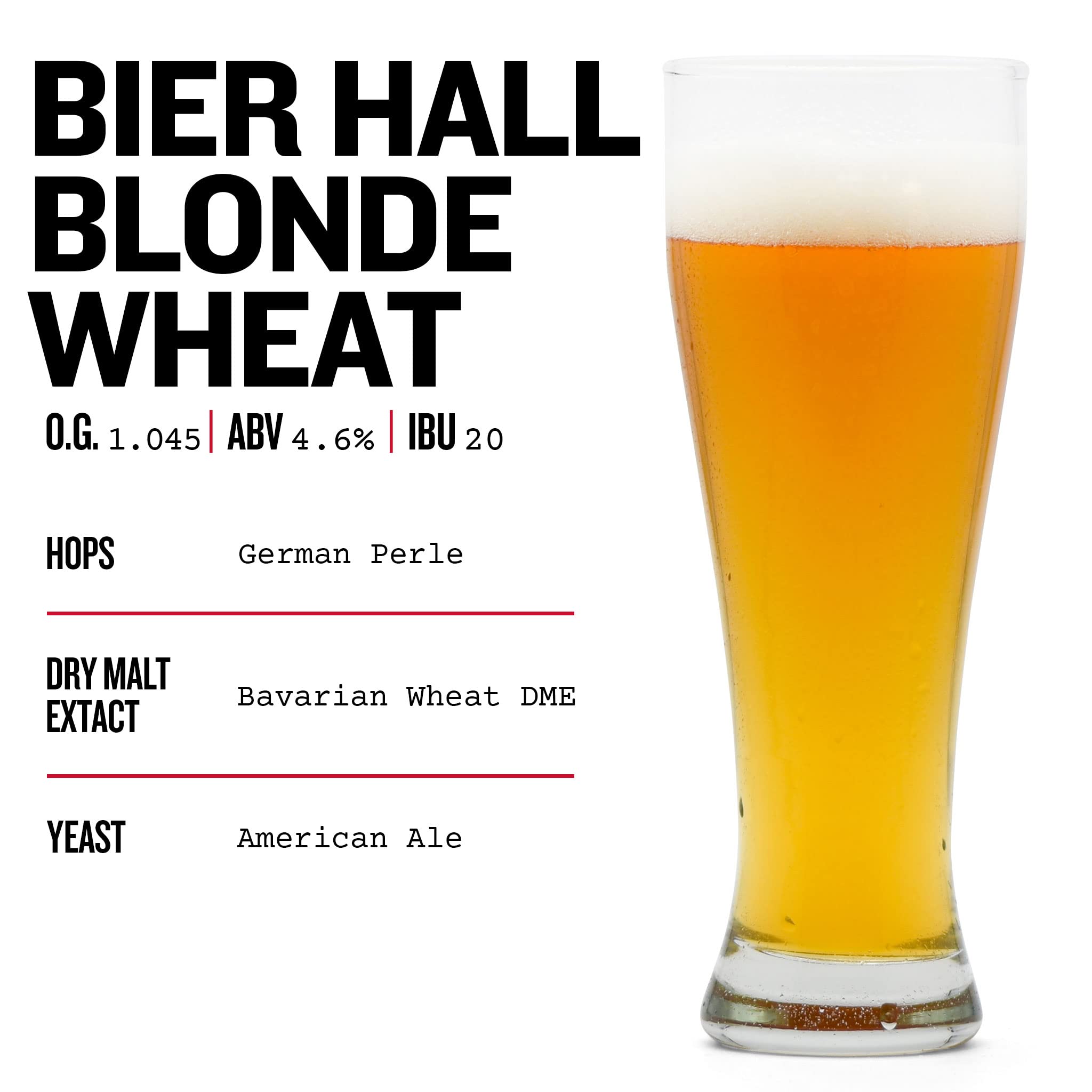 Northern Brewer - Kit de démarrage pour fabrication de bière artisanale sans siphon de 3,8 l (blé)
