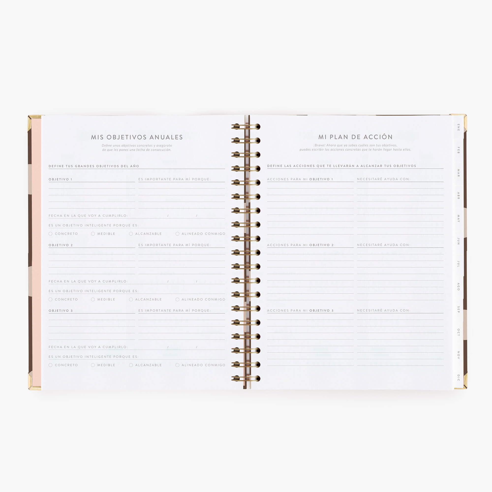 Agenda Charuca 2027 Anual VISTA SEMANAL - Tamaño A4 GRANDE - Tapa Dura con Detalles Dorados - Incluye BOLSA de Tela PROTECTORA y Marcapáginas - Hecho en España (Chocolate Love)