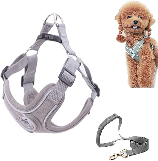 SKXEO Dog Harness Small Dog No Pull Dog Harness and Lead Set Adjustable Breathable Reflective Lightweight Pet Vest Harness Escape Proof Dog Harness Easy Control for Outdoor Walking Training