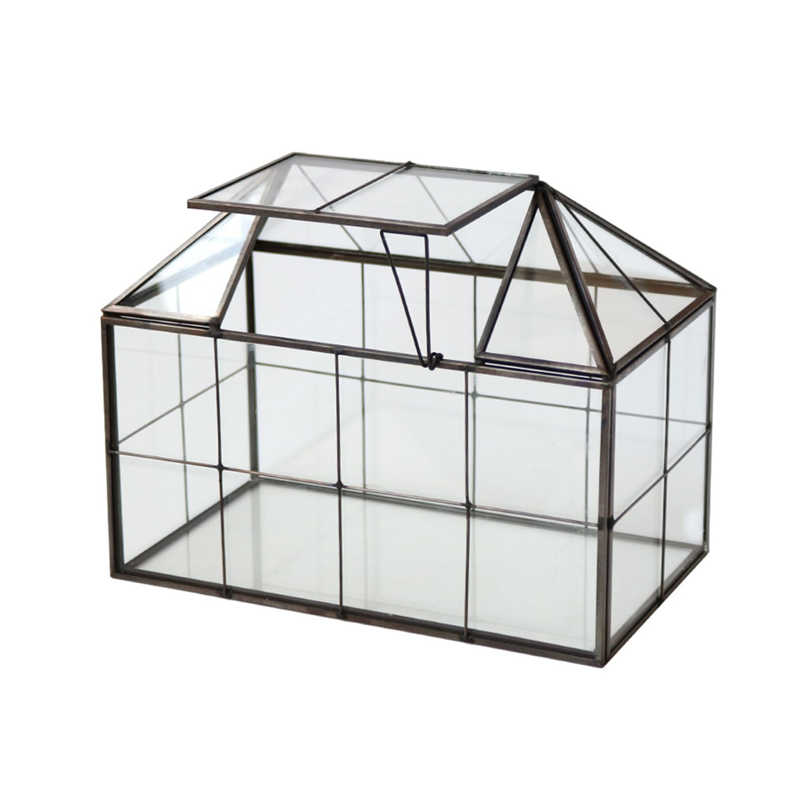 Decoración de terrario para alféizar de Ventana, Caja de exhibición de Vidrio Transparente con Techo con bisagras para diseños de Plantas, colocación de Escritorio y Uso de visualización de Anfibios,
