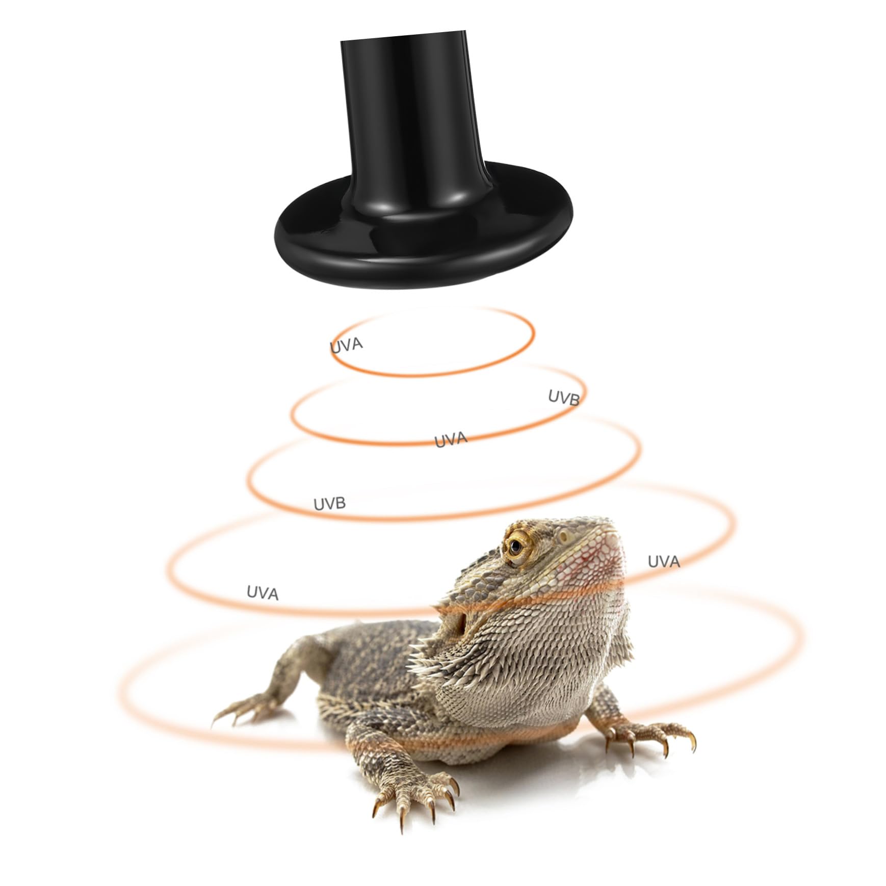 3 Szt Grzewcze Do Terrarium Grzewcze Dla Zwierząt Emitery Ciepła Dla Gadów Lampa Grzewcza Dla Jaszczurek Lampa Grzewcza Dla Gadów Żarówki Do Lamp Grzewczych Dla