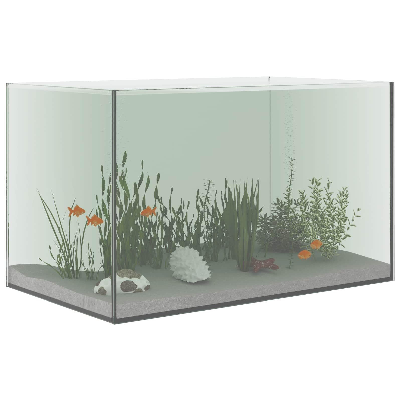 vidaXL Aquarium avec Stockage Transparent 50 x 30 x 30 cm Verre, Vitrine pour Aquarium, réservoir en Verre Moderne, Aquarium panoramique, intérieur extérieur, Espace Simple et sécurisé