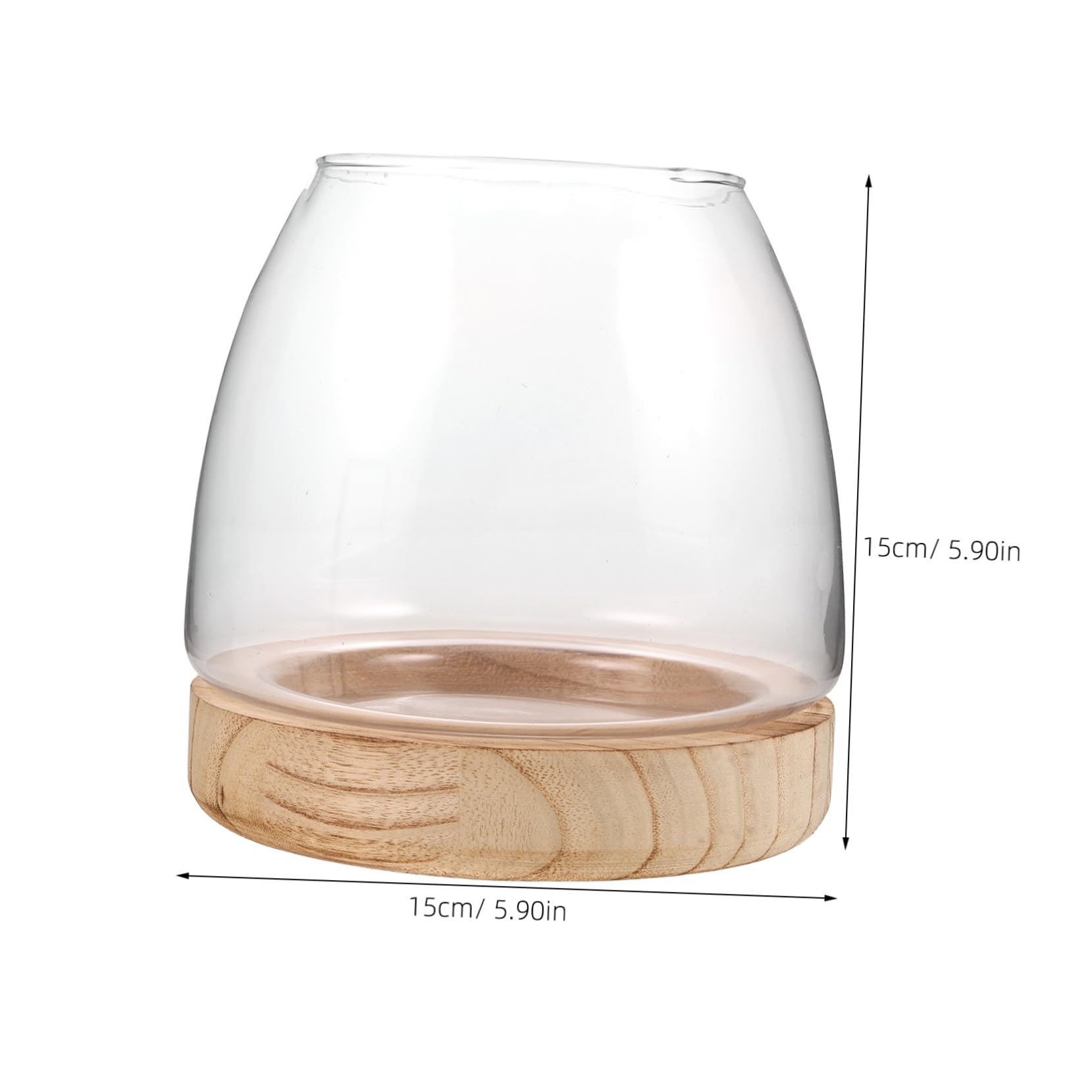 Vase Hydroponique Verre avec Base Petit Bocal pour Culture de Plantes Intérieur Décoration de Bureau et Maison Support Stable pour Propagation Facile