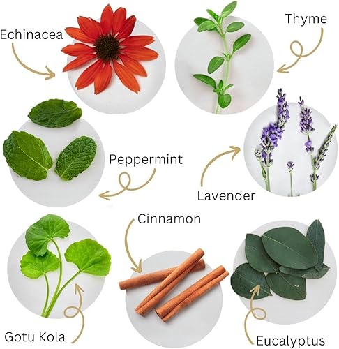 Miniatura 10 de Dental Herb Company dientes y encías tónicas, botella de 18 oz