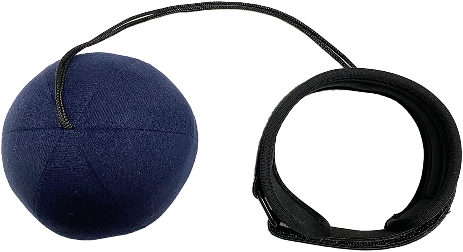 Amazon | スイング中に必要な上半身、下半身の動きを覚えることが