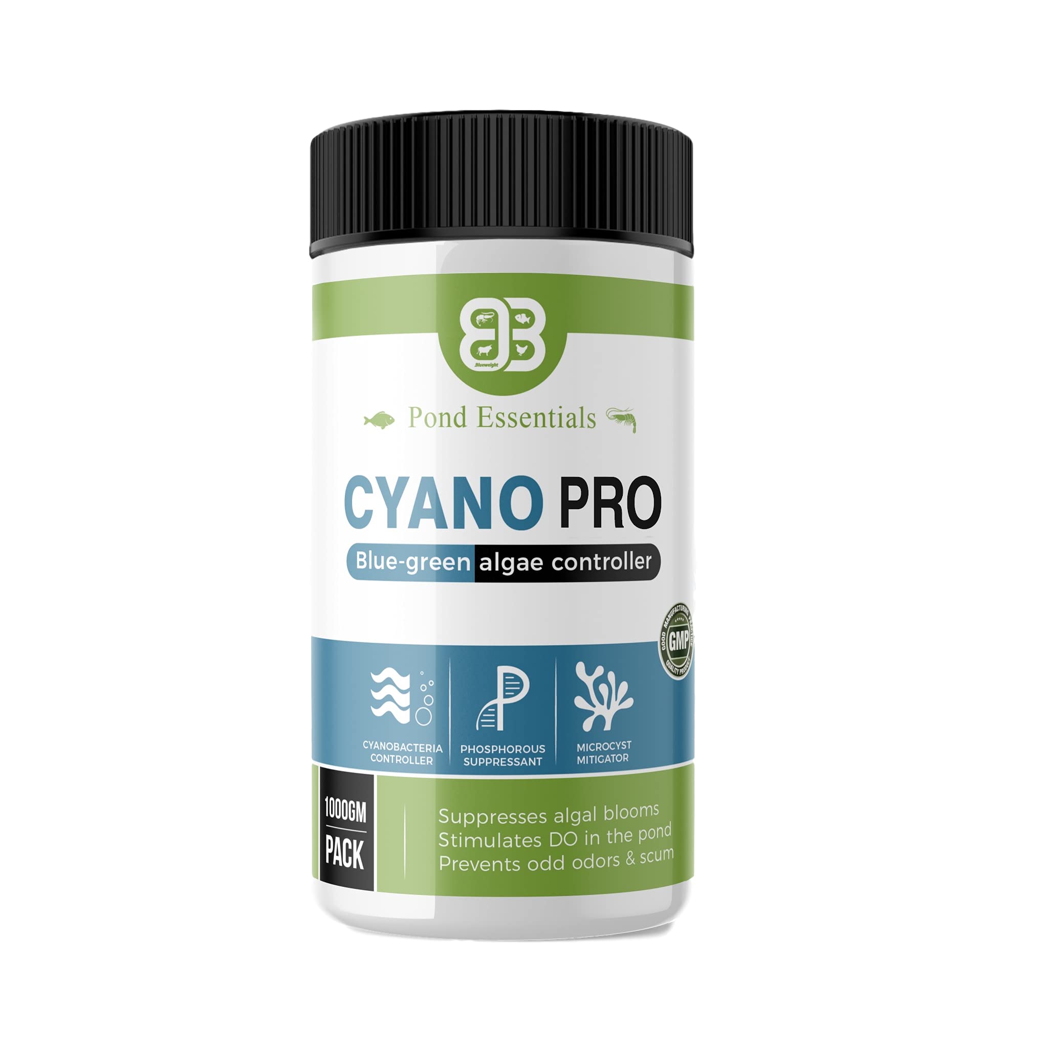 Cyano Pro 1Kg - Solution to Control Microcystis in Aquaculture Ponds. Controls Harmful Blue Green Algae in Shrimp and Fish Culture.