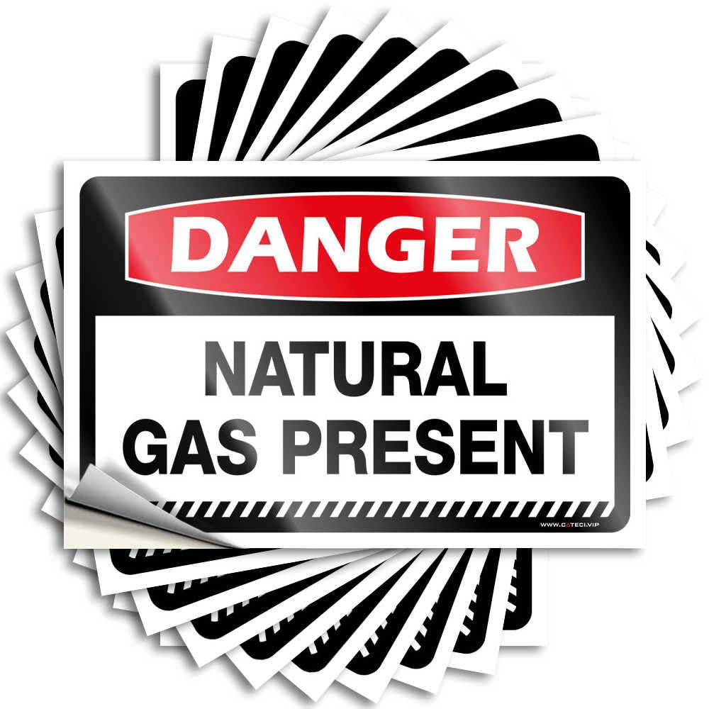 Fzfn Colour Saying Teens Vinyl Sticker | Danger Natural Gas Present Tall For Western Use(8X12cm)