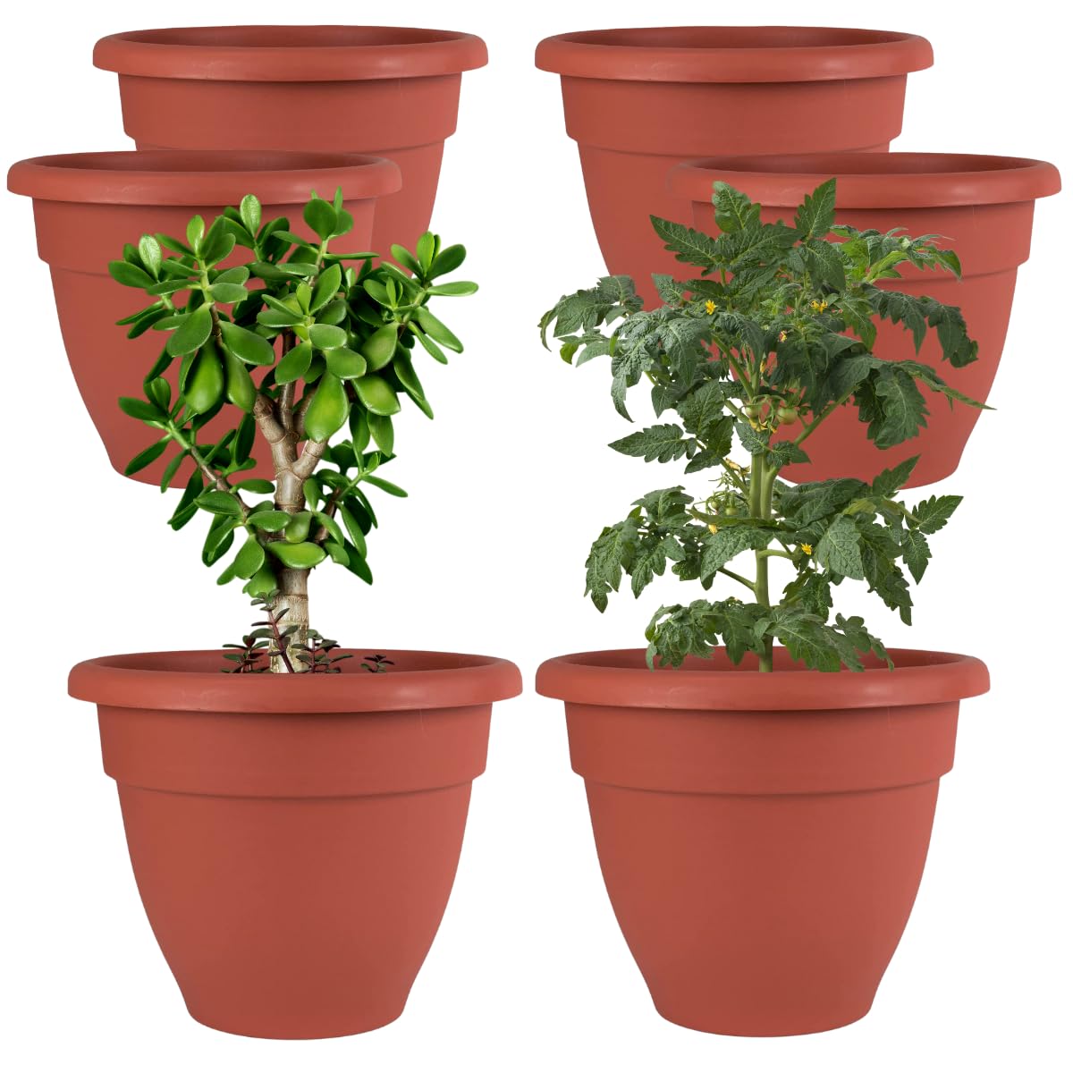 DEVICE OF URBAN INFOTECH 18 Inch Red Gamla Plastic Planters Big Size Flower Pot Stylish Indoor Outdoor Gamla Finished Plant Containers for Garden Nursery Home Decor (Pack of 6) (B09TPLMNQZ) Amazon Price History, Amazon Price Tracker
