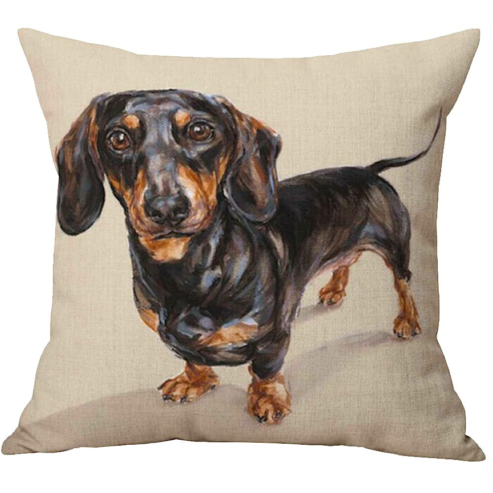 The Beach Stop Dachshund Portrait Decorative Dapple Dachshund Dog Scatter Cushion Cover | Home Decor Inspo | Gift Idea For Sausage Dog Lovers | 45X45cm 18X18” |