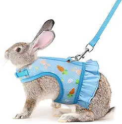 Conjunto de arnês e coleira de coelho azul, coleira e coleira de coelhinho à prova de fuga, colete de coelhinhos fofos, acessórios de roupas – Também adequado para furões gatinhos filhotes de animais