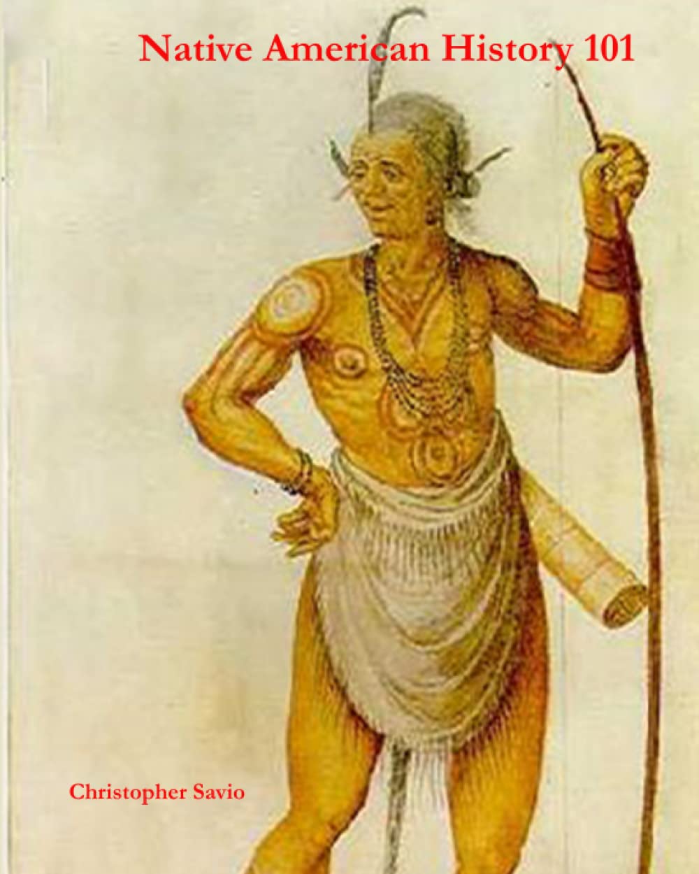 Native American History 101