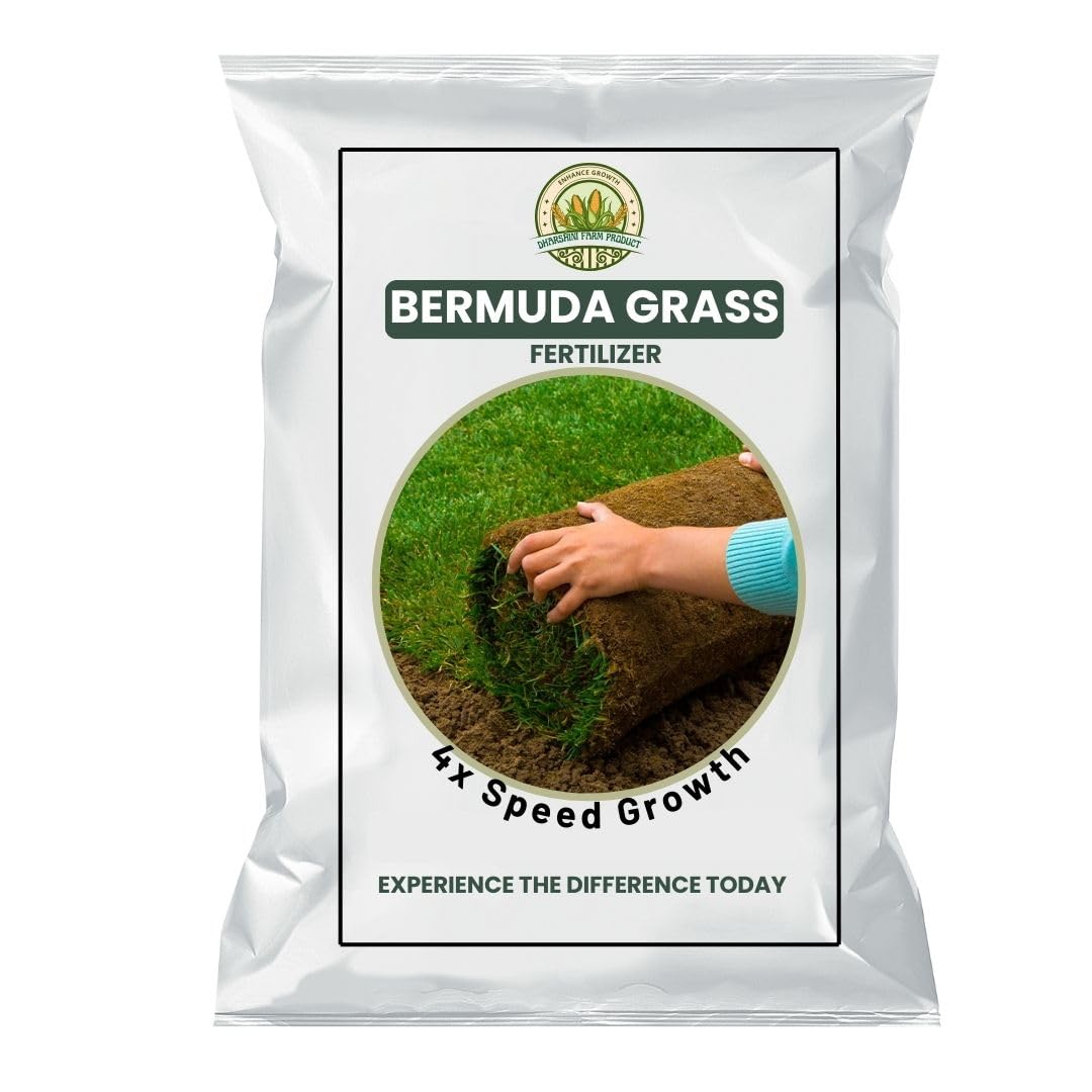 BERMUDA GRASS FERTILIZER | Bermuda Grass Perfect Grass Seeds For Making Lawn, Turf, Cricket ground, Park, Farm House, Stadium, Sports Fields & Gardening (20000, Grams)