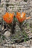 Echinocereus in Habitat: Echinocereus xlloydii, USA, Texas, Pecos County (English Edition)