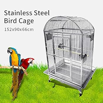 豚bird Cuttlefish Bone for Parakeets,Natural Parrot Calcium