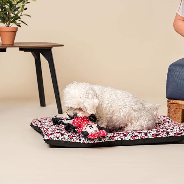 Foto 6 de 6 de Cerdá - For Fan Pets - Cama para Perros de Tejido Ligero y Térmico Mantener el Calor hasta en Las Noches…