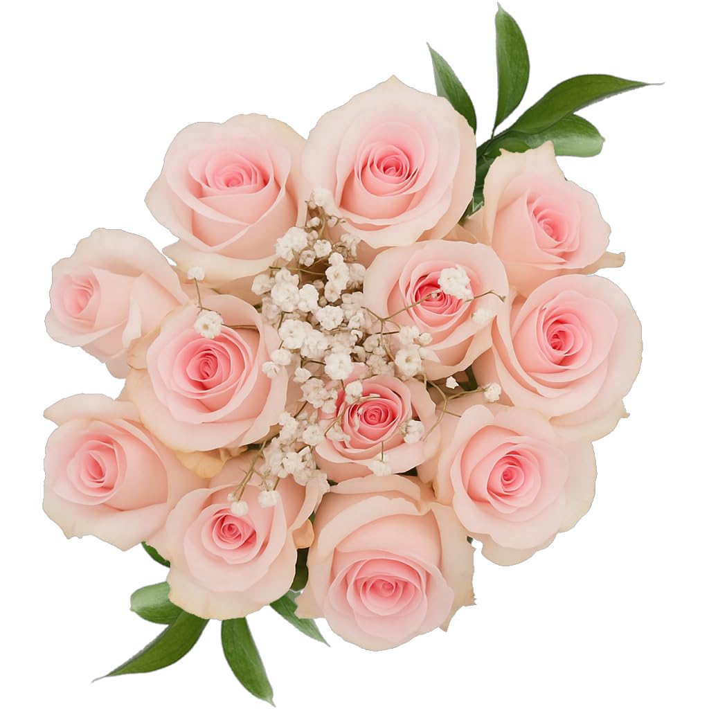 Amazon.com : GlobalRose Fresh Dozen Pink Roses & Fillers - Fresh