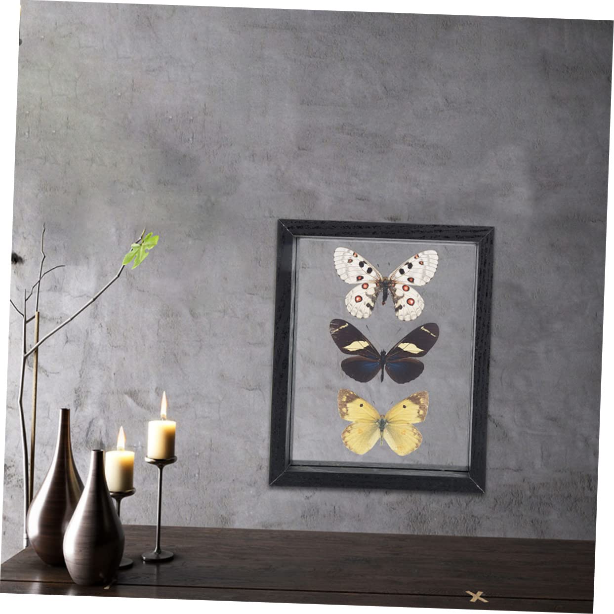 MUCKLILY Butterfly Display Frame Insect Specimen Box Round Shadow Wall Hanging Elegant Wood Photo Frame
