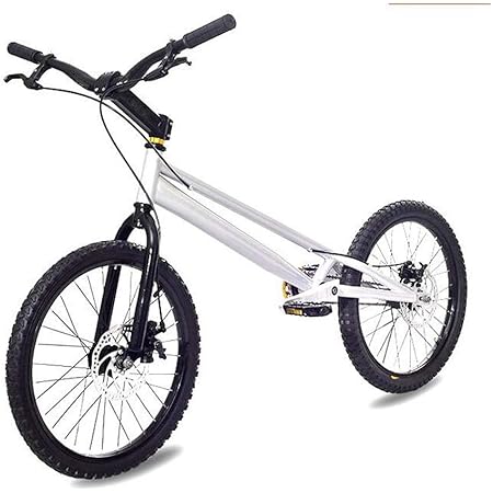 Amazon 初心者から上級者向けのフリースタイルbmxバイク クライミング自転車 高 強度軽量アルミニウム合金フレーム メカニカルディスクブレーキ 36回転フライホイール Swordlimit Bmx