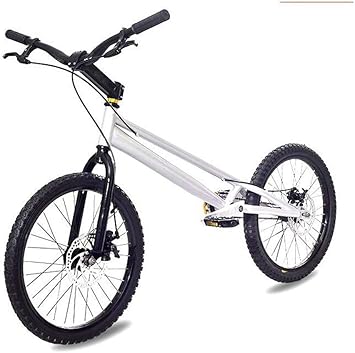 Amazon 初心者から上級者向けのフリースタイルbmxバイク クライミング自転車 高強度軽量アルミニウム合金フレーム メカニカルディスクブレーキ 36回転フライホイール Swordlimit Bmx