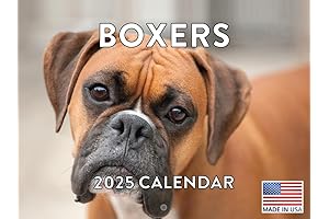The Enchanting 2024 Boxer Dog Wall Calendar: Embark on a Joyous Year...